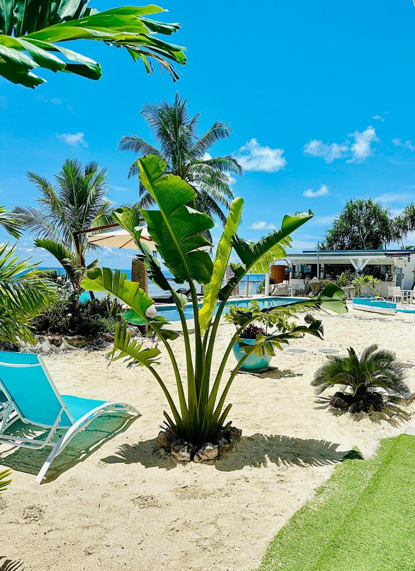Pension Irivai, Appartement Rava 1 Chambre Bord De Mer Утуроа Екстериор снимка